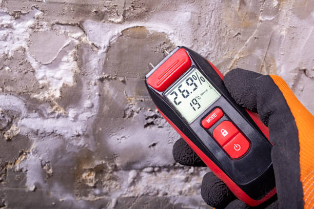Best Industrial Mold Remediation in Baldwin, GA
