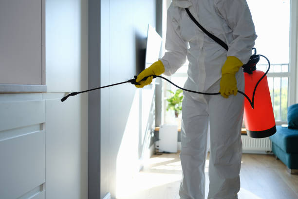 Best Post-Flood Mold Remediation in Baldwin, GA
