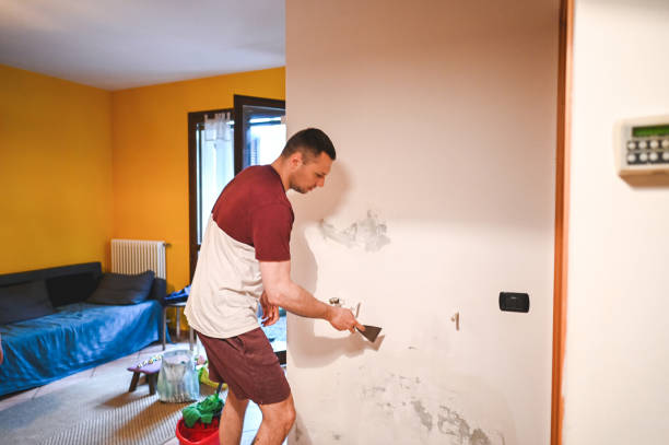 Best Mold Testing and Inspection Services in Baldwin, GA